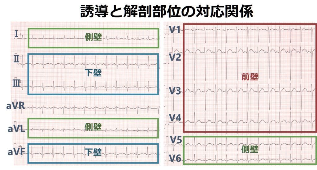 心電図モニター表示の多様化。Spike On T!?国立長寿医療研究センタ