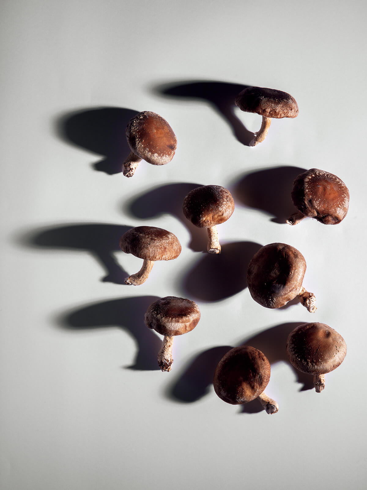 魔物図鑑TVアニメ「ダンジョン飯」公式サイト