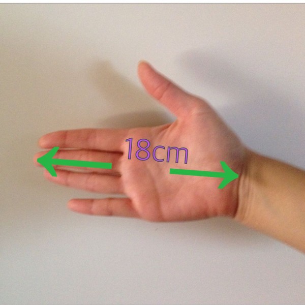 チャートでわかる骨格診断 自分の“似合う”を見つけましょう！+MIO プラス、ミオ