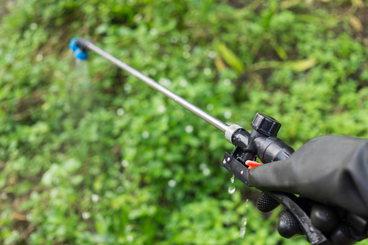 手作りの除草剤に効果はある？ お酢を使う方法や手作りのデメリットも紹介となりのカインズさん