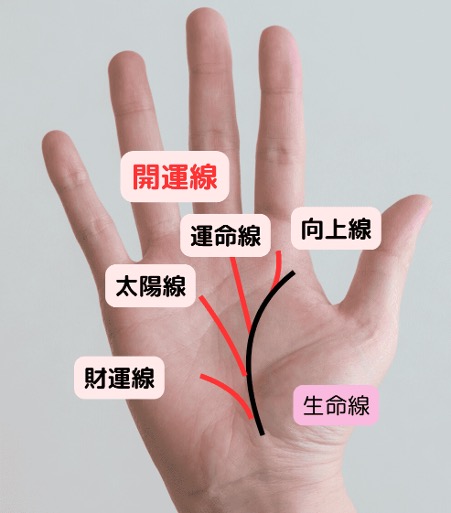手相占い 生命線の見方と意味を徹底に解説！要注意やラッキーと見られる生命線も紹介