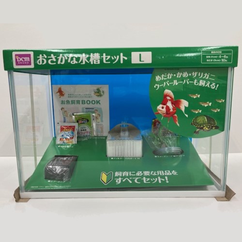 岐阜市引き取り限定‼️90水槽一式セット写真に写っている物全て