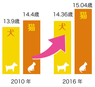 👈他の投稿はこちら！ ＼愛しいペットと健康で快適な暮らしを今回は、犬と猫の平均寿命についてご紹介します。 愛するペットとの暮らしをもっと豊かにするために役立つ情報も発信しています🐶🐱 REAZの他の投稿もチェックしてみてくださいね