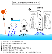 1．平成26年中の主な風水害平成27年版 消防白書総務省消防庁