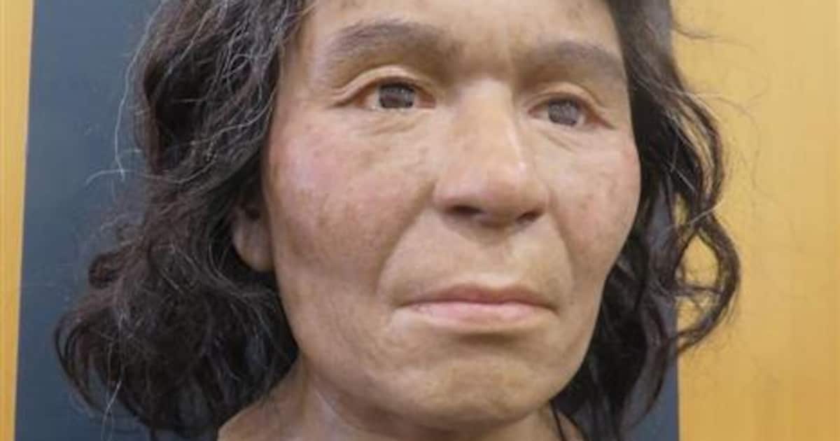 縄文人と弥生人: 織物作家の奮闘記