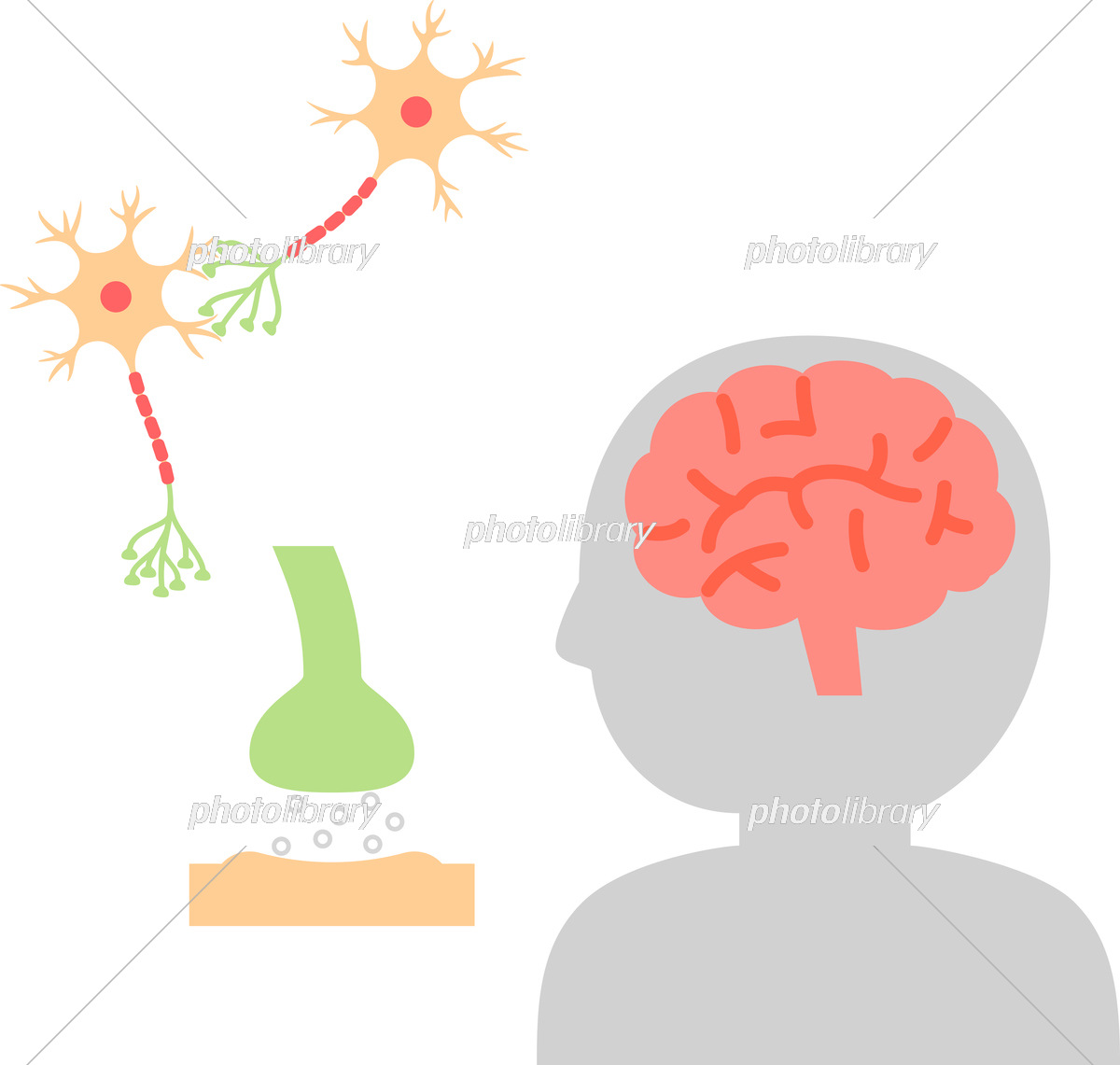 脳 シナプス ！：イラスト無料