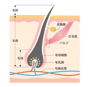 PCOS・多毛症扇町レディースクリニック
