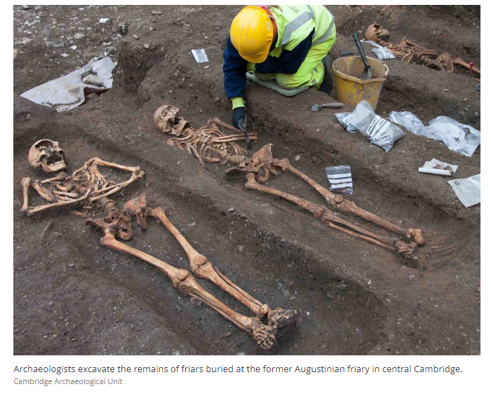 コンポストトイレを強制的に発酵させる実験に成功しましたecoばか実験室