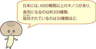 きのこはなぜ体に良い？栄養価と効果的な食べ方ガイド