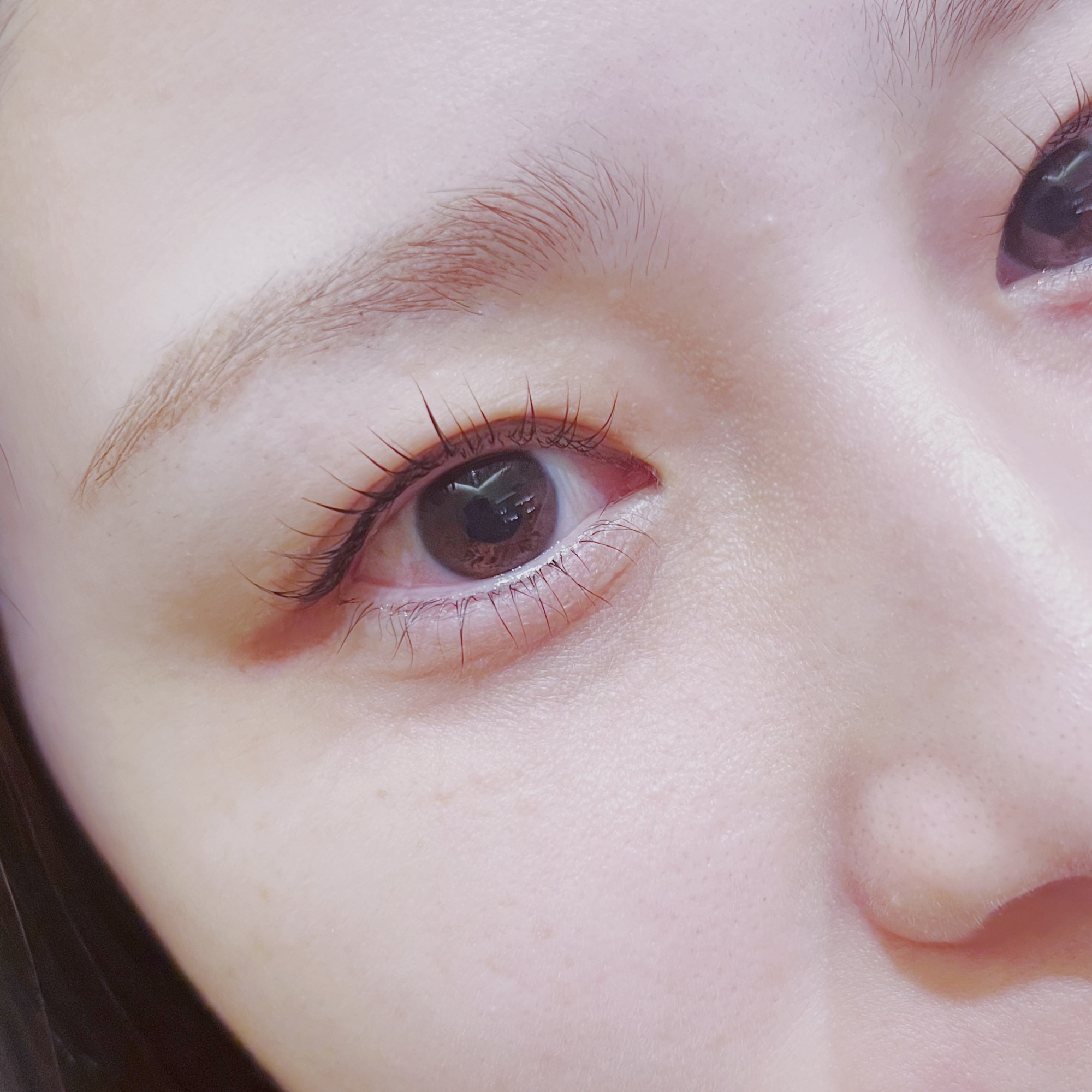 1番人気の上下まつ毛パーマ 下まつ毛パーマは中顔面短縮効果が期待されます 是非1度お試しくださELLA 松尾 ELLA所属 のマツエク デザイン 20241114124855 ミニモ