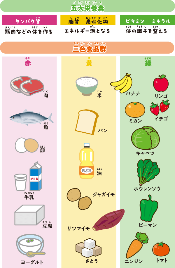 シオノギヘルスケアONLINE-感染症多層防御のススメ「食事」