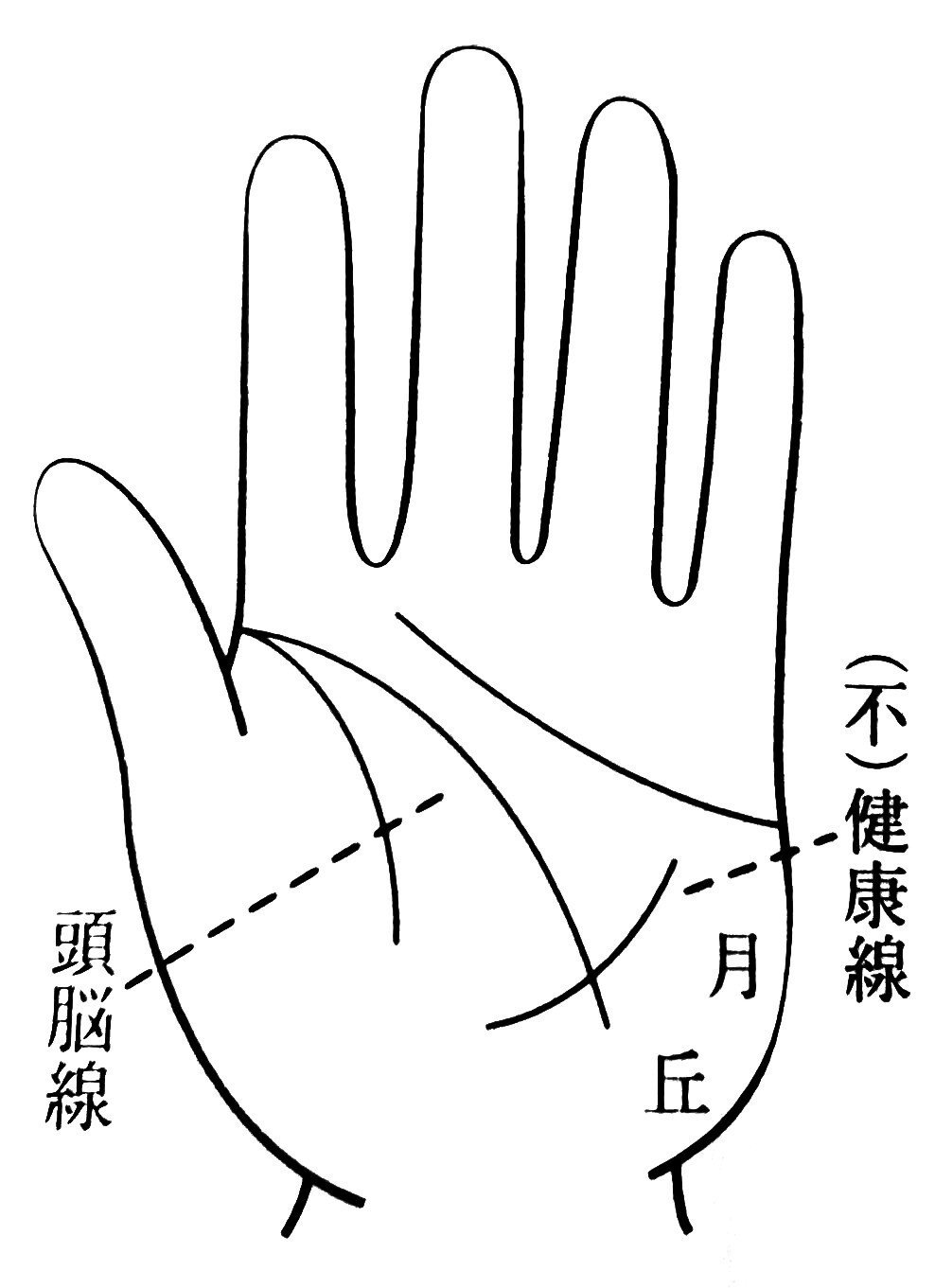 手相のスター 星紋 は位置で13の意味あり！現役占い師が徹底解説