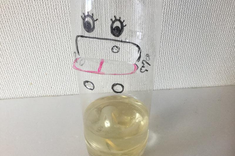 超かんたん「ペットボトルでハエとり器」AUT FUN 愛知工科大学