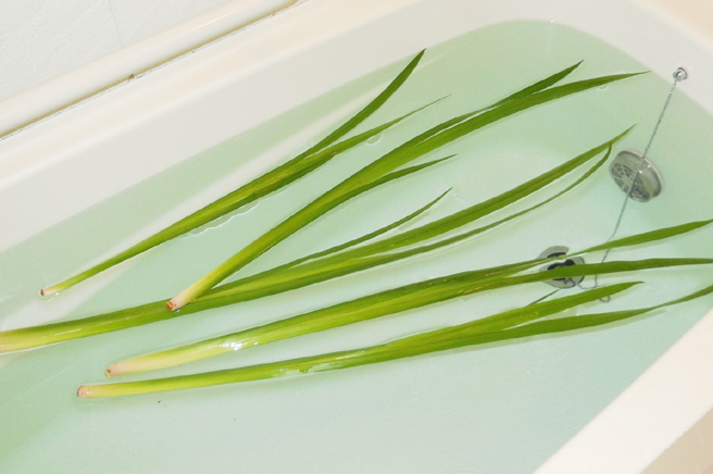 こどもの日に欠かせない「菖蒲」の役割とは？覚えておきたい菖蒲湯の入り方と厄除けの方法@DIME アットダイム