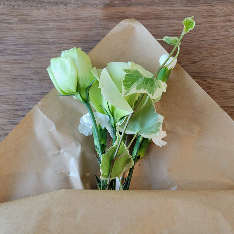 口コミは本当？ ブルーミーの評判を徹底調査！利用者のリアルな声と実体験レビュー暮らしゆったり