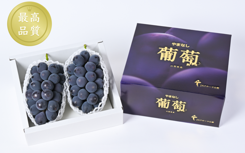 ダイエット・健康ふるさと納税シャインマスカット1房と季節のぶどう2房詰め合わせ 約1.8kg先行予約 果物 くだもの フルーツ ぶどうブドウ 葡萄 シャインマスカット 兵庫県 上郡町