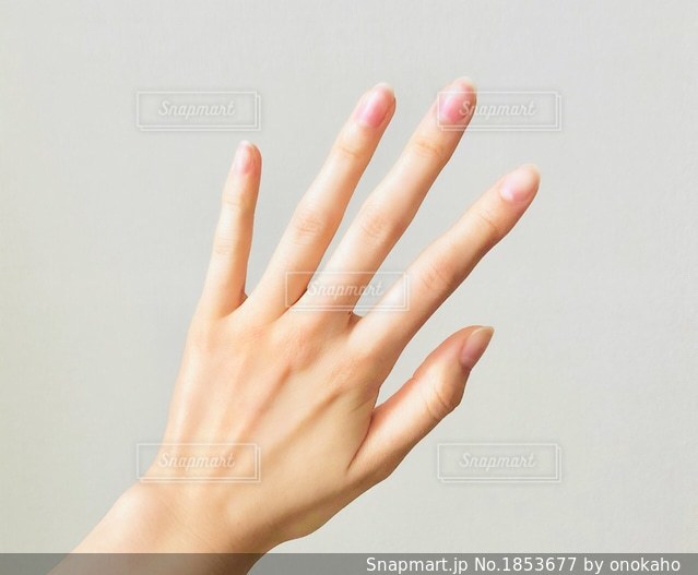 女性の手 - フォトスク：無料のフリー高画質写真素材画像