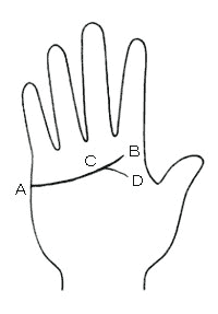 手相 浮気する人には二重感情線がある？ウラスピナビ