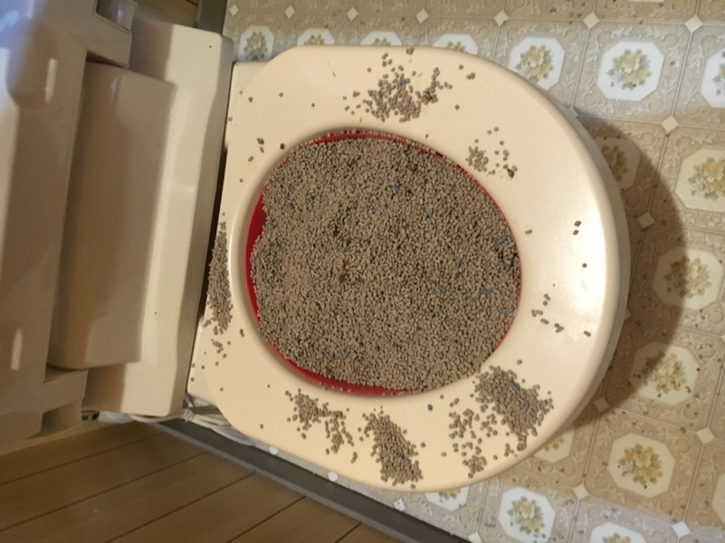 画像9198＞トイレは「人間性がもろに出る」空間？ビチャビチャの床、クロワッサン状態のトイレットペーパーに絶望誰もが経験する最悪のトイレ 体験 作者に聞く ウォーカープラス