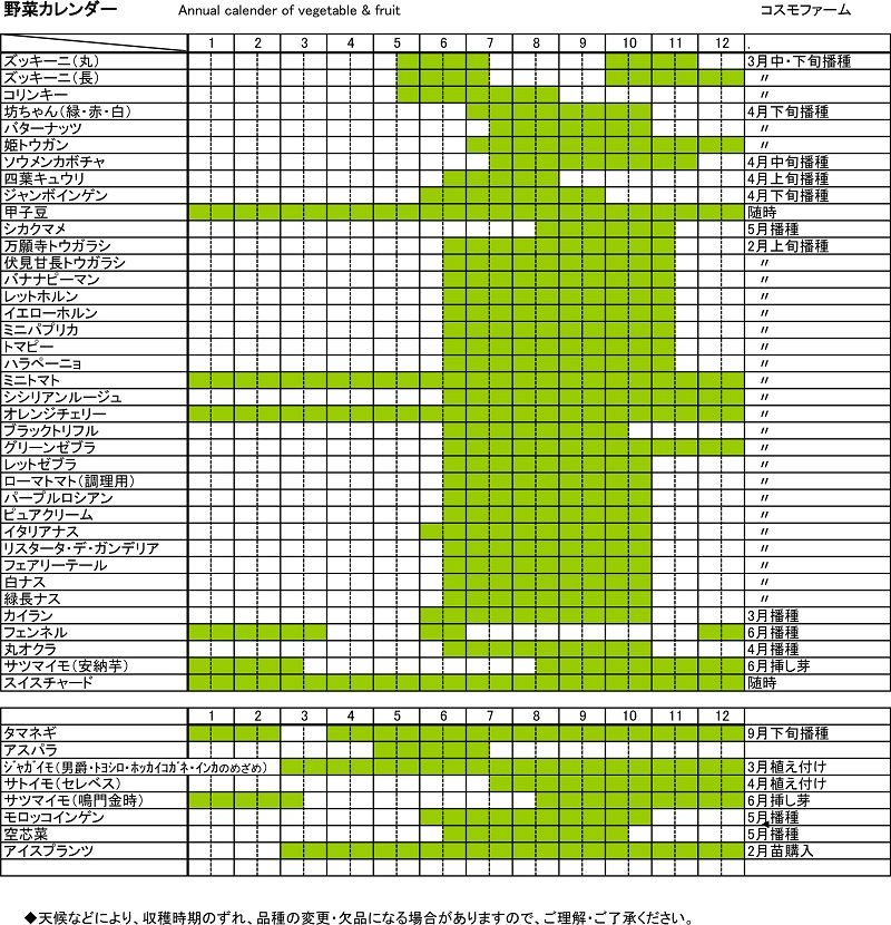 初心者でも簡単！ベランダから始まる、家庭菜園日新火災withCaNday