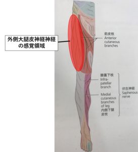 太ももの前がしびれる原因とは？改善するための方法を解説します