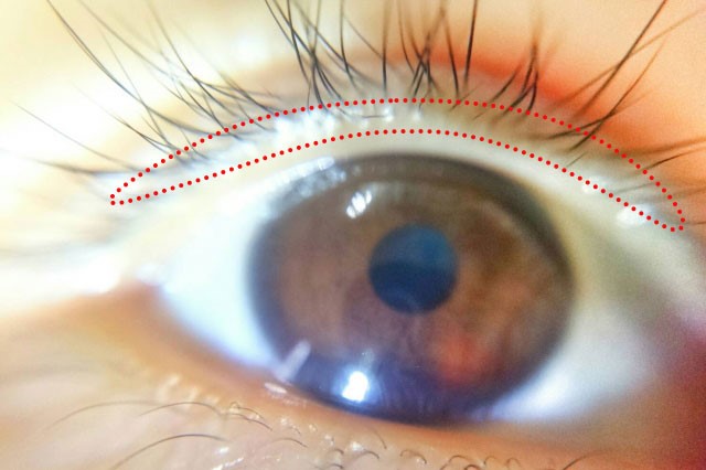 強いまつ毛を育てて維持する！！スカルプDボーテ ピュアフリーアイラッシュを使ってみました☆ : 私の好きなもの