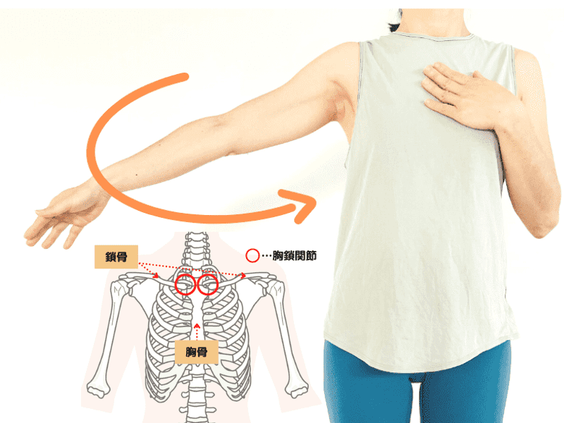 上げる・寄せる・下げるで簡単！自分でできる「肩甲骨はがし」でめざせ肩こり解消♪ 2ページ目- レタスクラブ