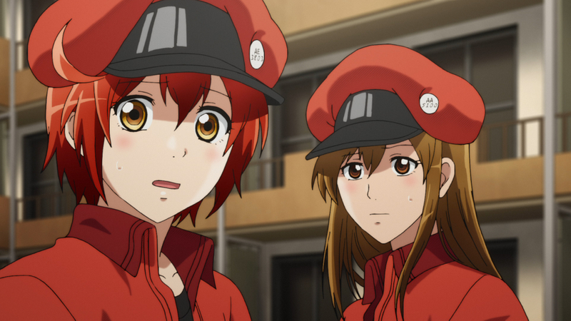 Picture book Cells at Work6 Book SetHachimonjiya Online Store