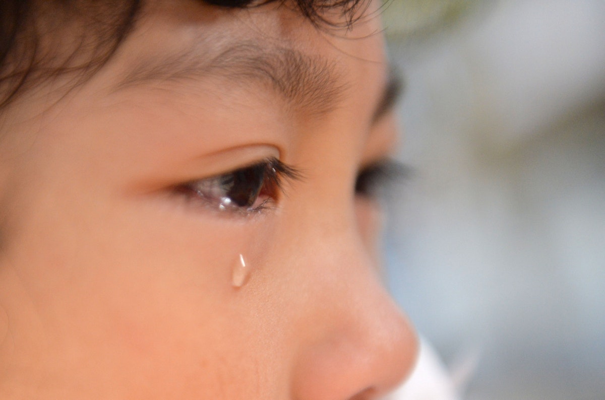 ハムスターが目を閉じる原因とクリニックでの対応 - アロハオハナ動物病院