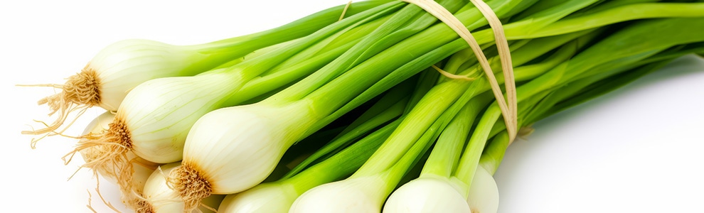 初心者OK ワケギの育て方・食べ方完全ガイドネギとの違いも解説！GardenStoryガーデンストーリー