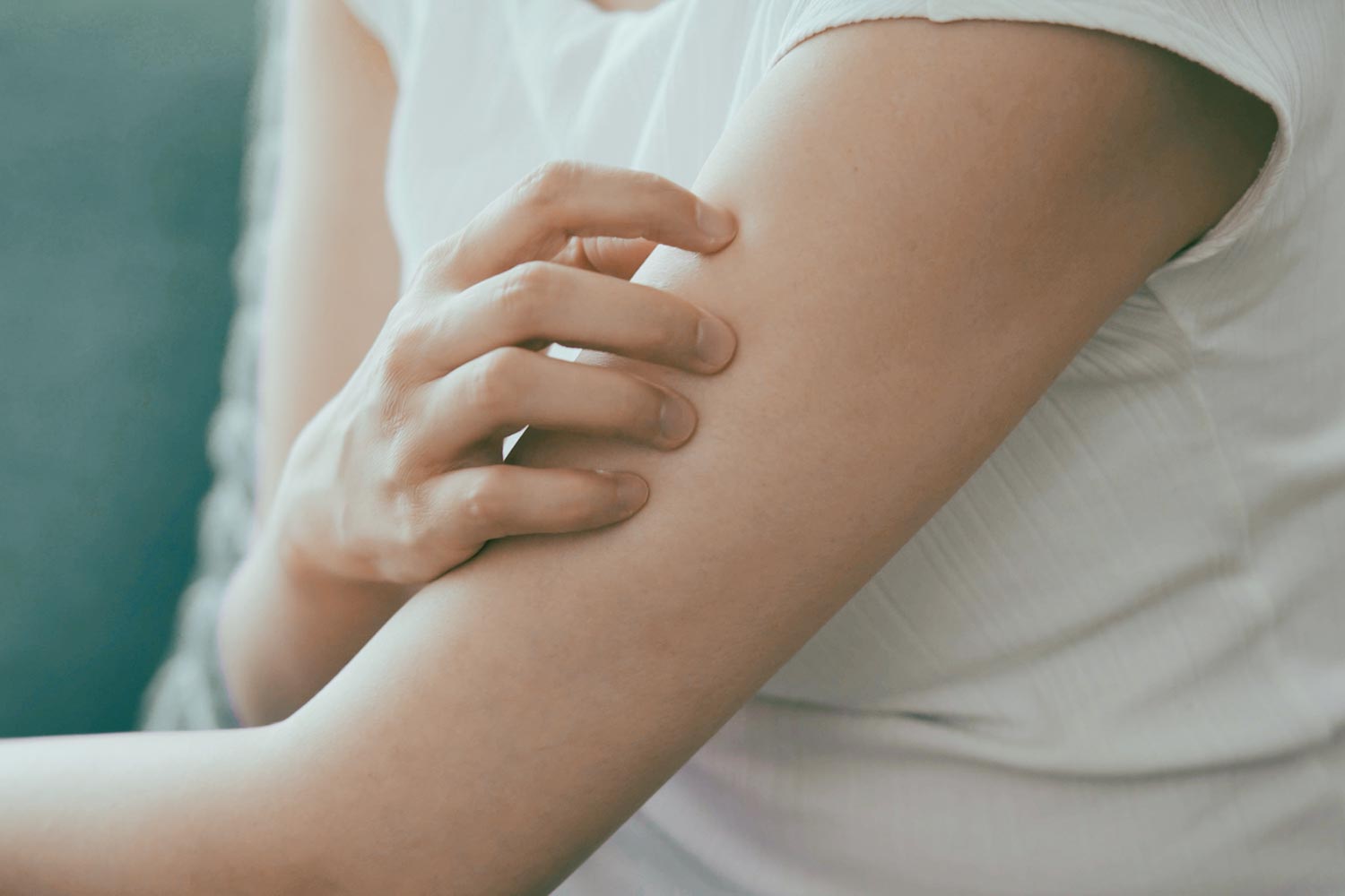 心理 頭をかく行動の心理と対策 - YouTube