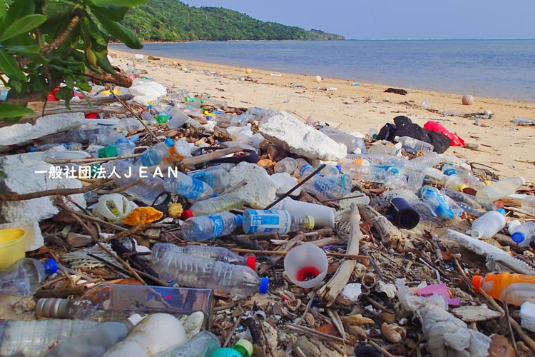 海洋プラスチック問題は海洋汚染の要因にも きれいな海と生態系を守る！「プラスチック・スマート」キャンペーン政府広報オンライン