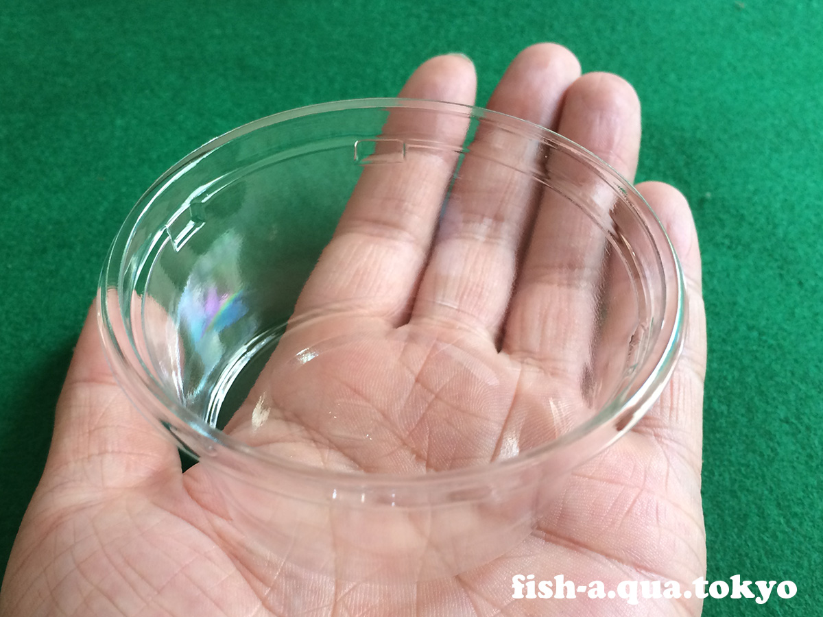 メダカの卵が白いのはカビ？白いモヤモヤ・カビの原因予防と対策 – メダカの飼い方.com