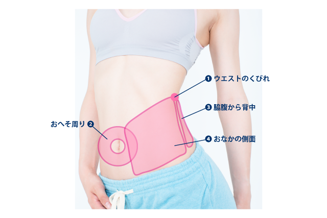 楽天市場 ems お腹 痩せの通販