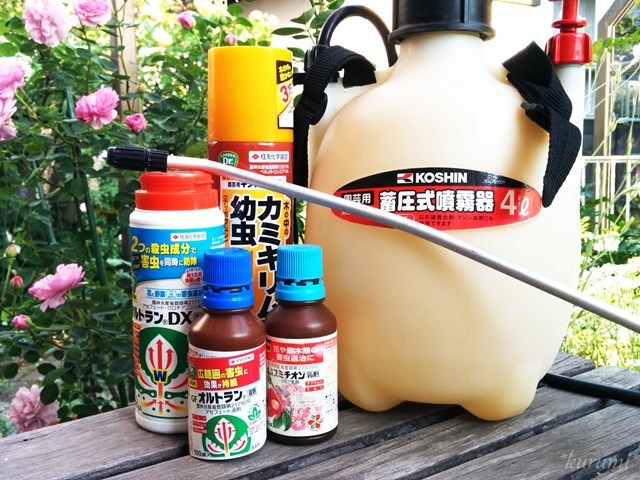 室内置き観葉植物に虫が！発生する理由・駆除方法・予防対策について造園・外構・緑と花の販売・リースの 株 明石緑化