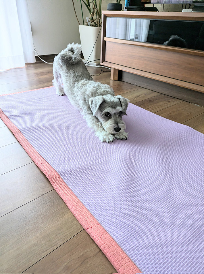 朝5分の「お目覚めヨガ」。ベッドから出なくていい簡単ポーズ：B-Flow講師直伝 - ライブドアニュース