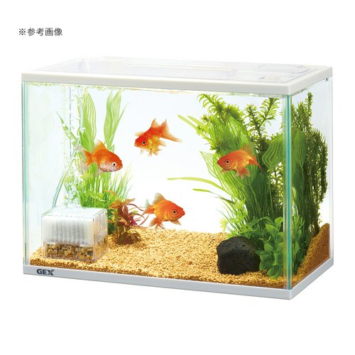 おさかな水槽セット DCM ガラス水槽セット Sホームセンター通販はDCMオンライン