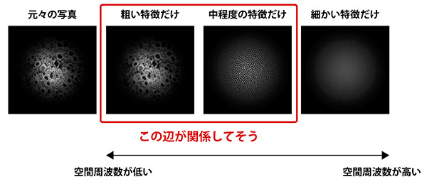 集合体恐怖症 トライポフォビア とは？なぜ怖いのか原因と治し方・克服法を徹底解説！柏心療内科・精神科よりそいメンタルクリニック当日OK・診断書即日発行