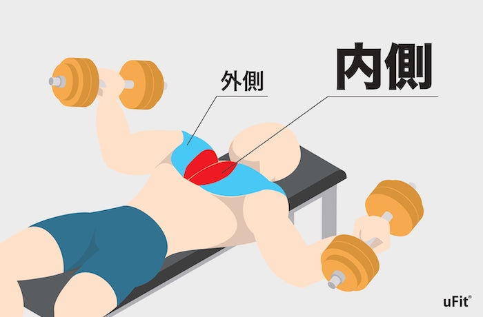 筋肉は使い方で質が変わる！男性も女性も必見！きれいな胸の谷間を作る 大胸筋内側に刺激をいれるポイントは伸びと緊張！筋トレ バストアップ ダンベルプレスベンチプレスFMVスポーツ