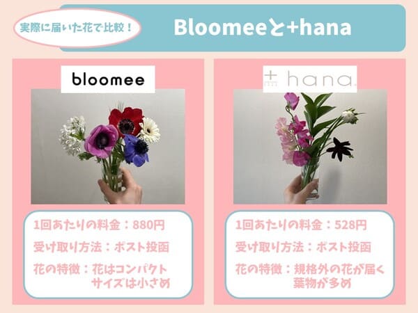 3年半続けて分かった ブルーミーがオススメな人・オススメできない人 のポイントGFGreen お花