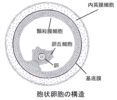 PowerPoint プレゼンテーション