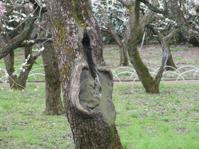 52,700点を超える海 環境問題のイラスト素材、ロイヤリティフリーのベクター素材グラフィックスとクリップアート - iStock