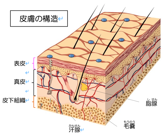 白ワキ姫せっけん - LIBERTA ONLINE STORE