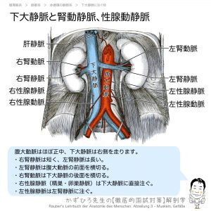注射のコツ 注射の種類