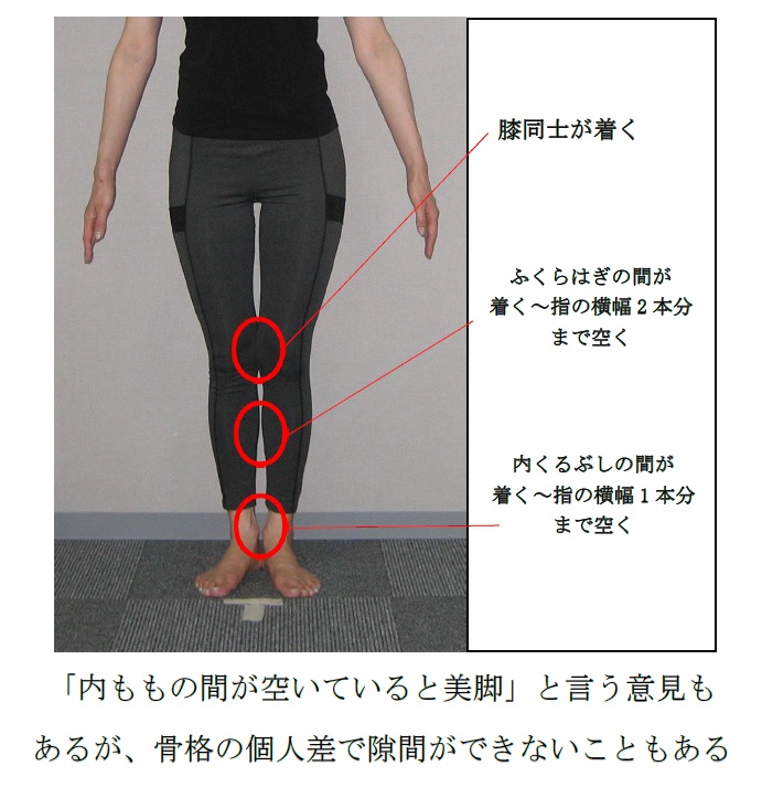 骨格診断的脚の特徴🦵骨色ちゃんねる@Beauty clear Labo