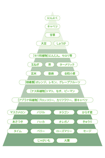 がんの知識を深めよう！がんのリスクを防ぐ食べ物・飲み物とは食で健康からだケアナビ
