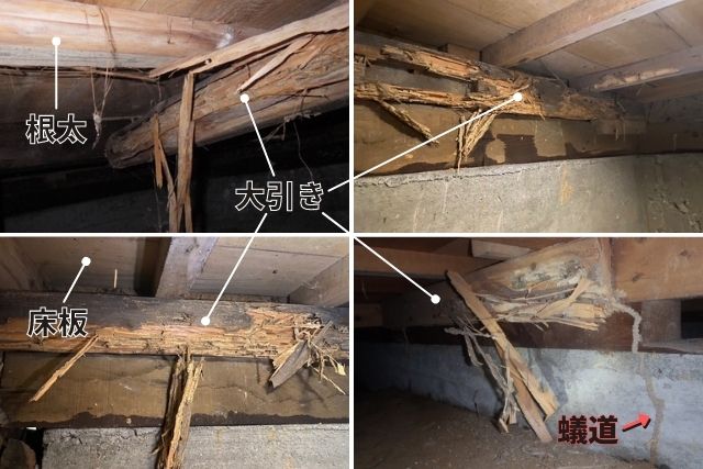 えっ、これがシロアリの巣？ 場所や特徴からカンタンに巣を特定する方法みんなのシロアリ駆除屋さん