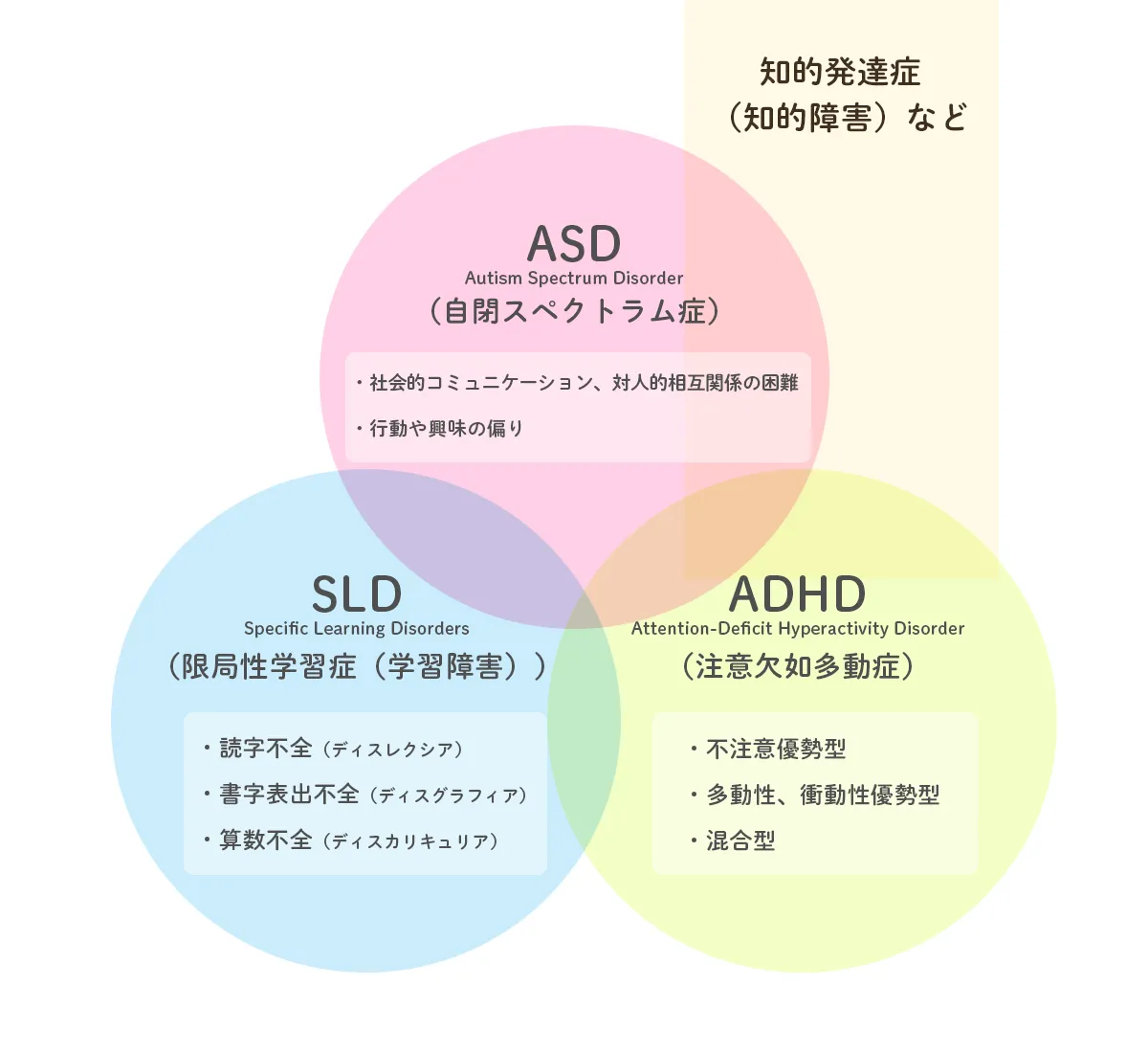 記者発表 自閉スペクトラム症 ASD とADHDの合併症の神経基盤 ――ASD ADHD合併症は単純な重ね合わせではない――