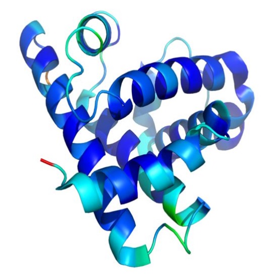 立体構造が明らかにしたGタンパク質共役受容体の刺激受容のしくみ : ライフサイエンス 領域融合レビュ