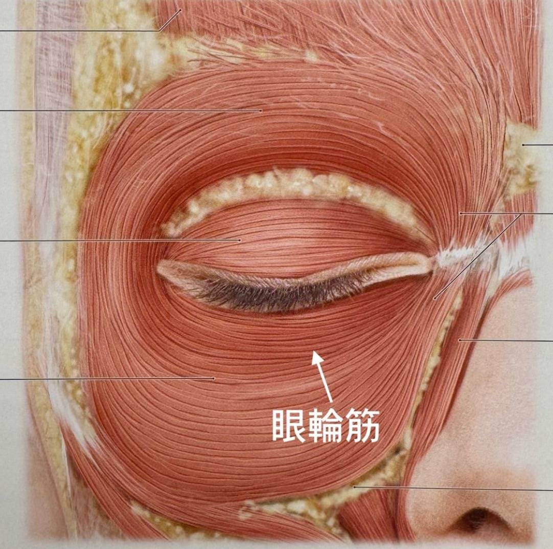 目の左右差解消法 ^^♪TEENKARBEL'S EYES大阪市中央区南船場のマツエク・アイラッシュTeenkarbel ティーンカーベル